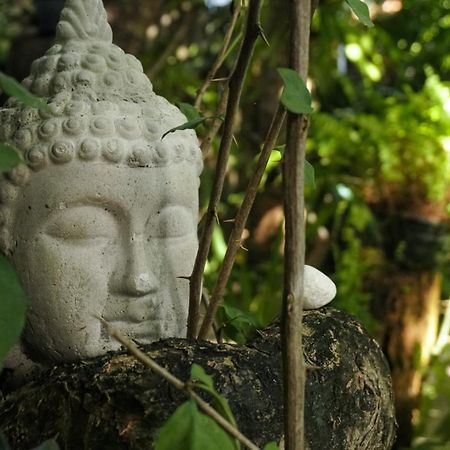 Pousada Zen Caraiva Exterior photo